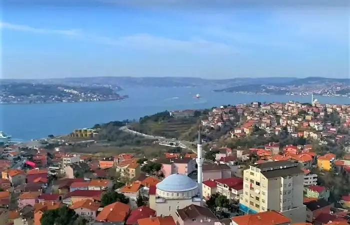 Çubuklu böcek ilaçlama şirketi