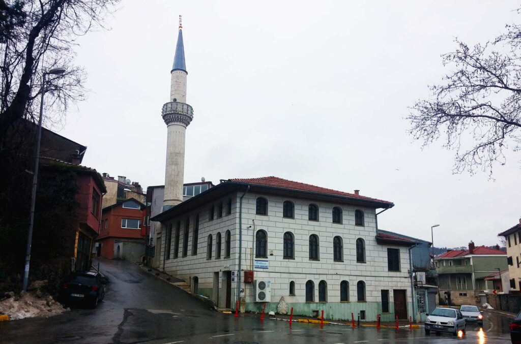 İncirköy böcek ilaçlama şirketi